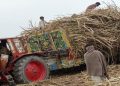 The Fall of Pakistan’s Agriculture – A threat to food security